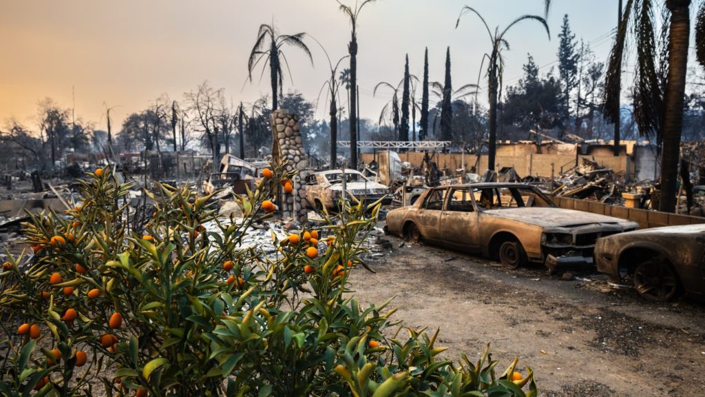 LA fires could hit European insurance firms with billion euros in loss