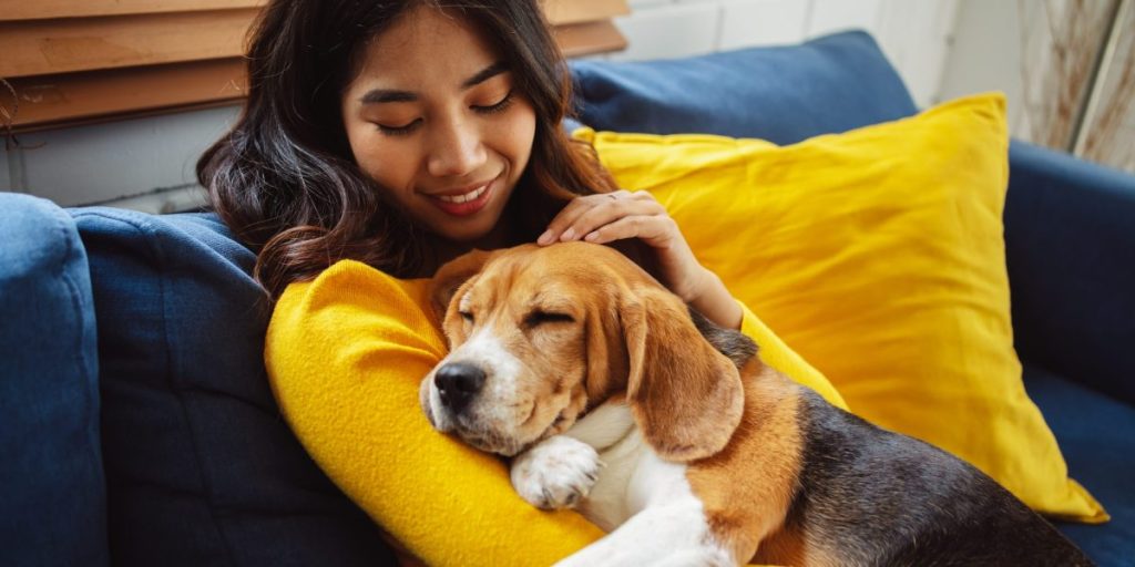 Para ilmuwan telah menemukan taktik yang sempurna untuk menarik perhatian anjing Anda. Petunjuk: Semuanya ada di tatapannya