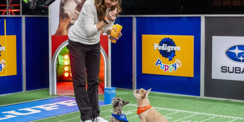 Victoria Schade memiliki pekerjaan terbaik di dunia: Lead Puppy Wrangler untuk ‘Puppy Bowl’